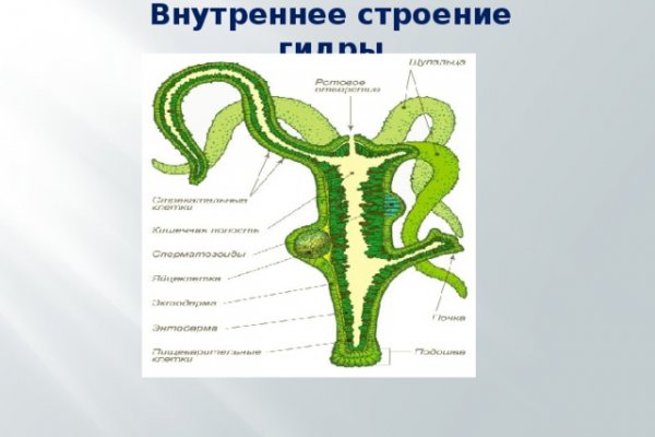 Tor мега ссылка